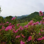 Apartamento Del Frontino- Ca'tognino *