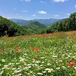 Del Frontino- Ca'tognino *